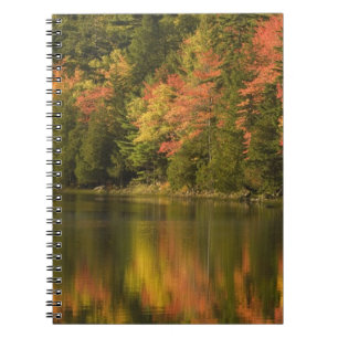 USA; Maine; Acadia NP. Höstreflektioner vid Anteckningsbok
