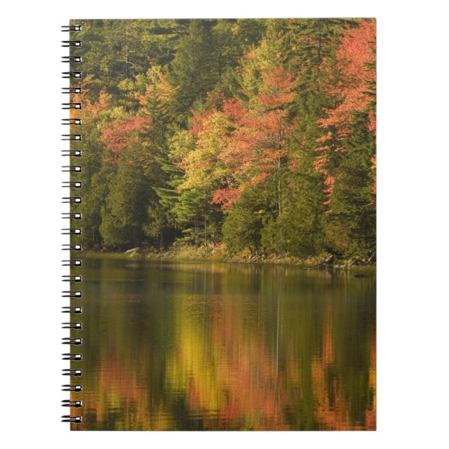 USA; Maine; Acadia NP. Höstreflektioner vid Anteckningsbok (Framsidan)