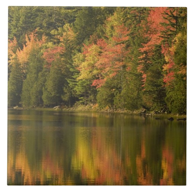 USA; Maine; Acadia NP. Höstreflektioner vid Kakelplatta (Framsidan)