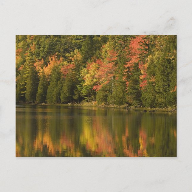 USA; Maine; Acadia NP. Höstreflektioner vid Vykort (Framsida)