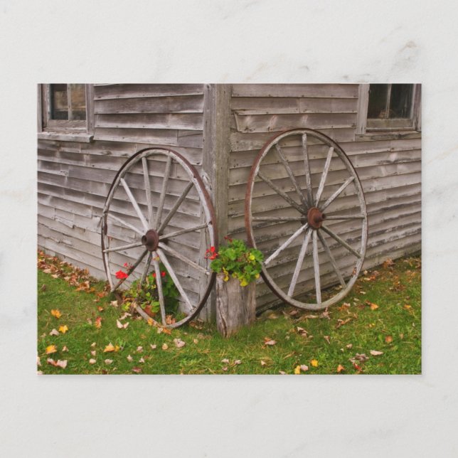 USA, Maine. Vagnshjul Vykort (Framsida)