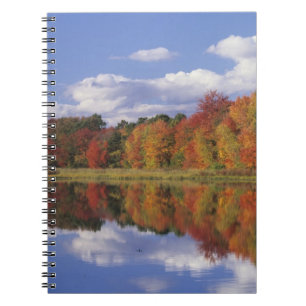 USA, Massachusetts, Acton. Reflektion av hösten Anteckningsbok