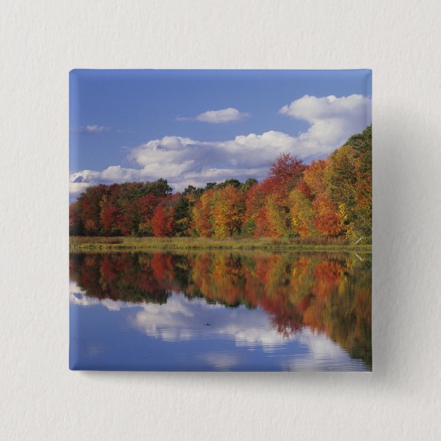 USA, Massachusetts, Acton. Reflektion av hösten Knapp (Framsida)