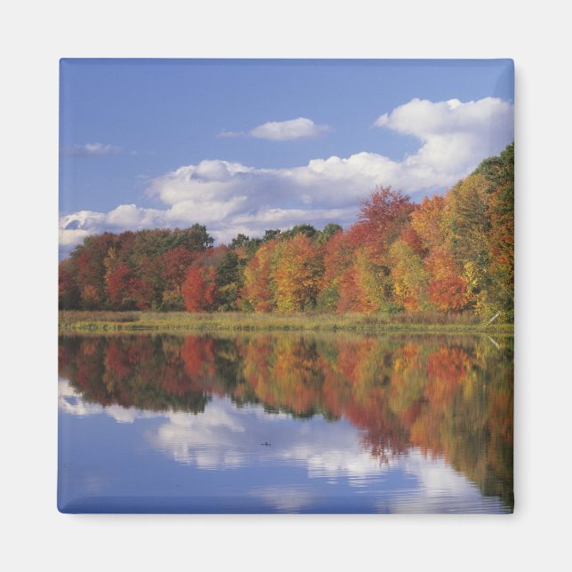 USA, Massachusetts, Acton. Reflektion av hösten Magnet (Framsidan)