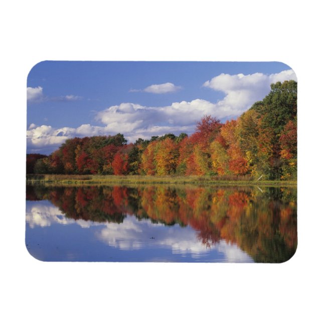 USA, Massachusetts, Acton. Reflektion av hösten Magnet (Horisontell)