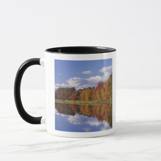 USA, Massachusetts, Acton. Reflektion av hösten Mugg (Vänster)