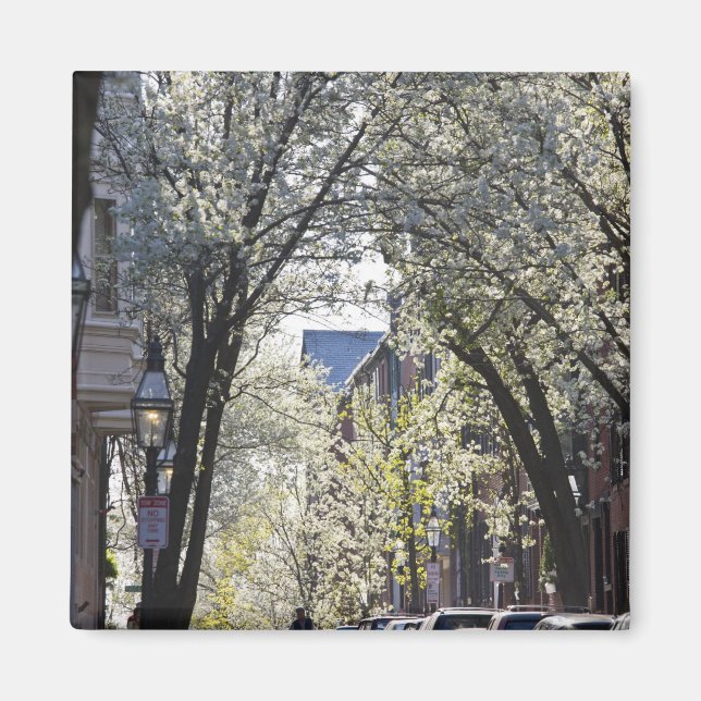 USA, Massachusetts, Boston, Beacon Backe. Magnet (Framsidan)