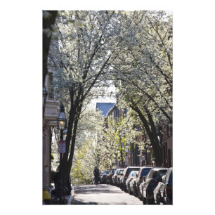 USA, Massachusetts, Boston, Beacon Hill. Fototryck