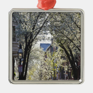 USA, Massachusetts, Boston, Beacon Hill. Julgransprydnad Metall