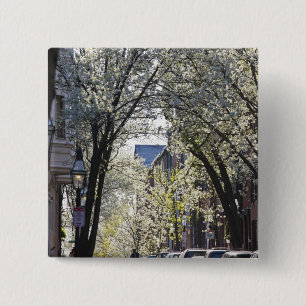 USA, Massachusetts, Boston, Beacon Hill. Knapp