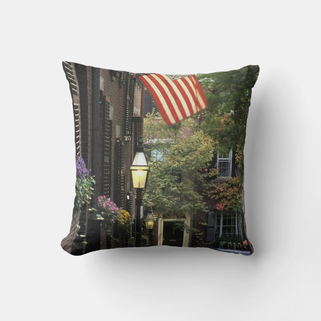 USA, Massachusetts, Boston, Beacon Hill. Kudde (Framsida)