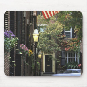 USA, Massachusetts, Boston, Beacon Hill. Musmatta