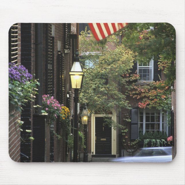 USA, Massachusetts, Boston, Beacon Hill. Musmatta (Framsidan)