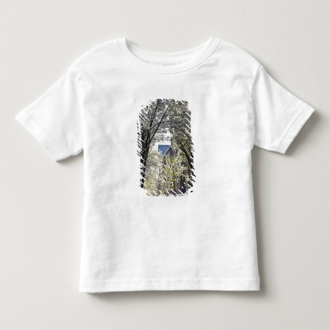USA, Massachusetts, Boston, Beacon Hill T Shirt (Framsida)