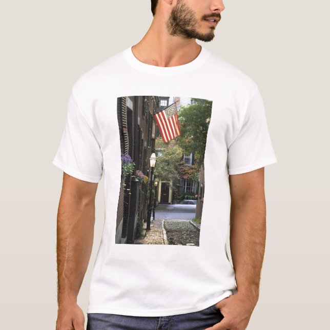 USA, Massachusetts, Boston, Beacon Hill. Tee (Framsida)