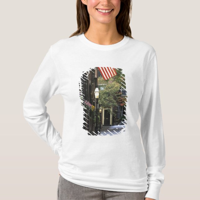 USA, Massachusetts, Boston, Beacon Hill. Tee (Framsida)