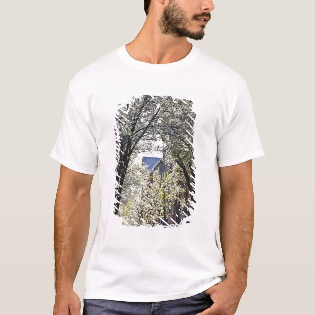 USA, Massachusetts, Boston, Beacon Hill. Tee (Framsida)