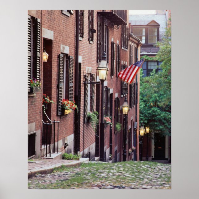 USA, Massachusetts, Boston, Hus längs Acorn Poster (Framsidan)