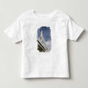 USA, Massachusetts, Boston. Zakimbron. T Shirt