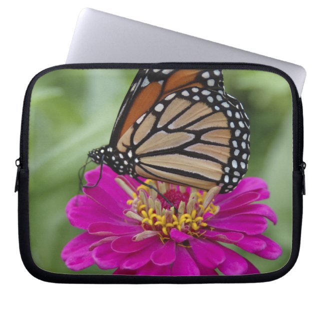 USA, Massachusetts, Boylston, Tower Hill Laptop Sleeve (Framsidan)