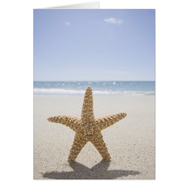 USA, Massachusetts, Cape Cod, Nantucket, nära Hälsningskort (Framsidan)