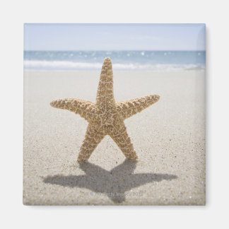 USA, Massachusetts, Cape Cod, Nantucket, nära Magnet