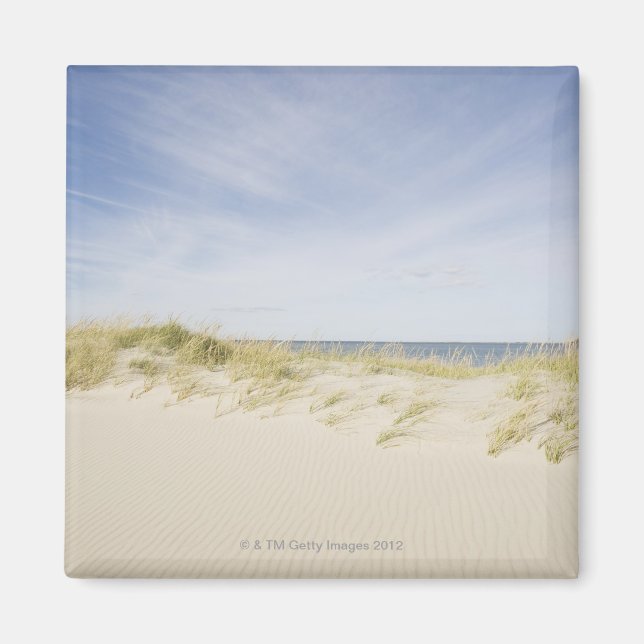USA, Massachusetts, Cape Cod, Nantucket, sandy Magnet (Framsidan)