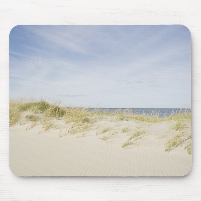 USA, Massachusetts, Cape Cod, Nantucket, sandy Musmatta (Framsidan)