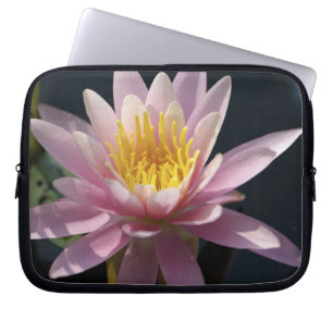 USA, Massachusetts, Great Barrington, näckrosblad Laptop Fodral