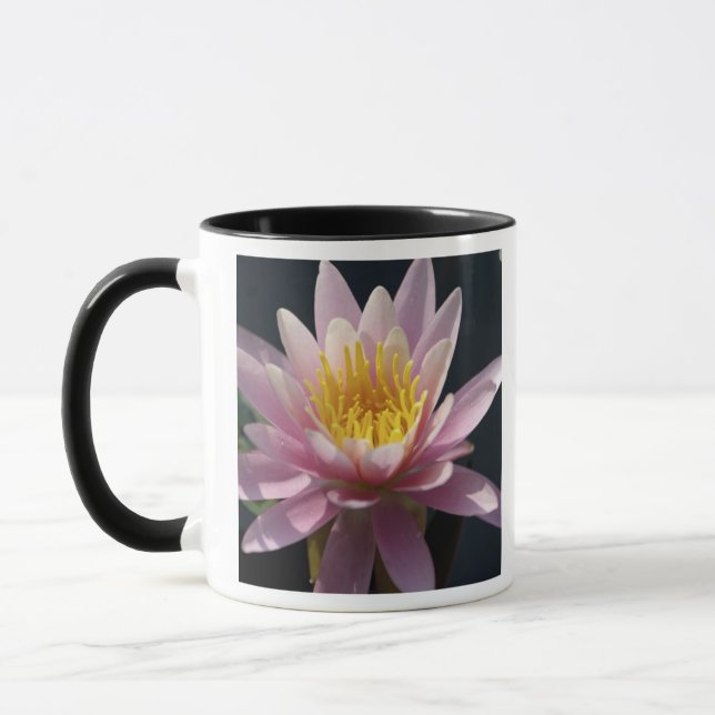 USA, Massachusetts, Great Barrington, näckrosblad Mugg (Vänster)
