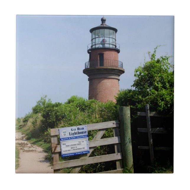 USA, Massachusetts, Martha's Vineyard, Aquinnah. Kakelplatta (Framsidan)