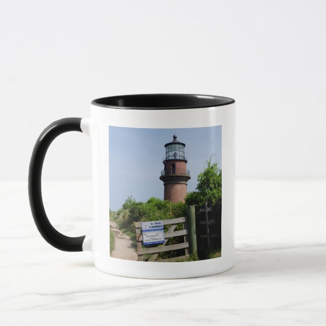 USA, Massachusetts, Martha's Vineyard, Aquinnah. Mugg (Vänster)