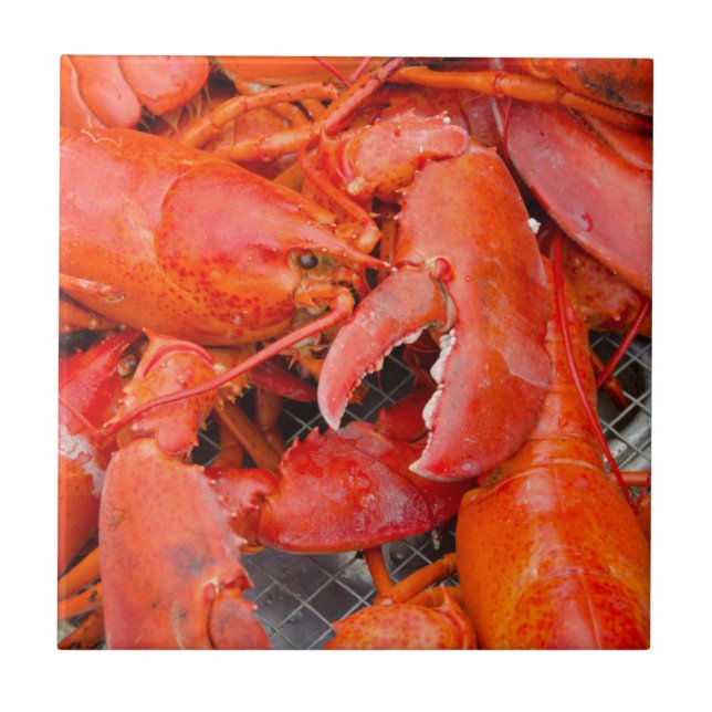 USA, Massachusetts, Martha's Vineyard Kakelplatta (Framsidan)