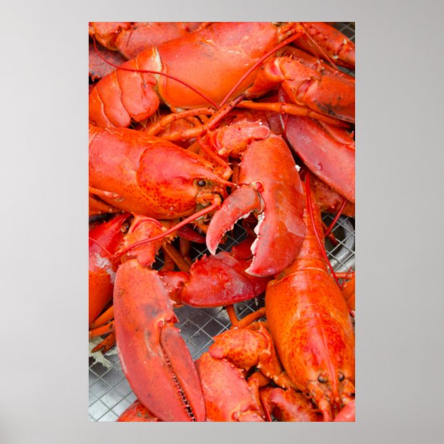 USA, Massachusetts, Martha's Vineyard Poster (Framsidan)