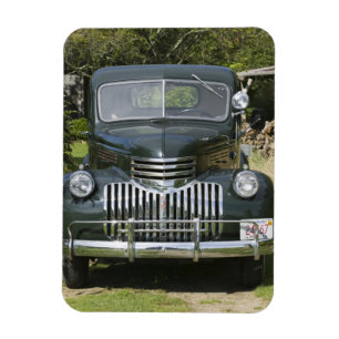 USA, MASSACHUSETTS, Martha's Vineyard: Väster 4 Magnet