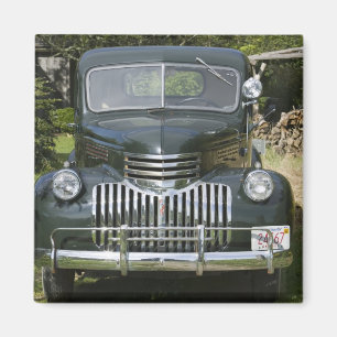 USA, MASSACHUSETTS, Martha's Vineyard: Väster 4 Magnet