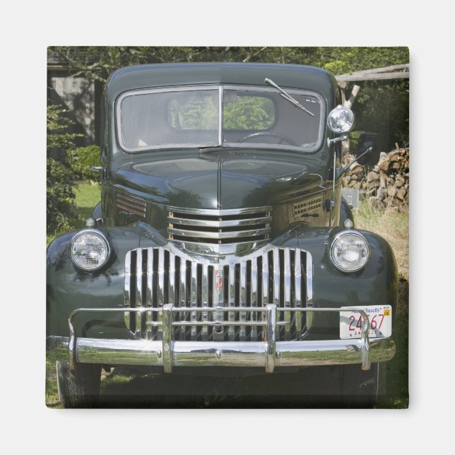 USA, MASSACHUSETTS, Martha's Vineyard: Väster 4 Magnet (Framsidan)