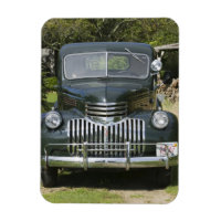 USA, MASSACHUSETTS, Martha's Vineyard: West 4