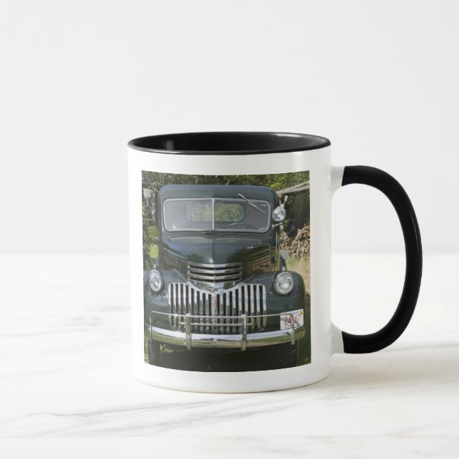 USA, MASSACHUSETTS, Martha's Vineyard: West 4 Mugg (Höger)