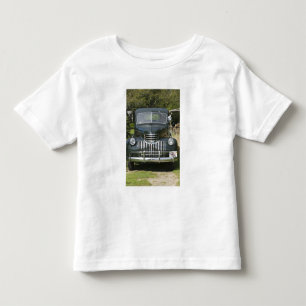 USA, MASSACHUSETTS, Martha's Vineyard: West 4 Tee