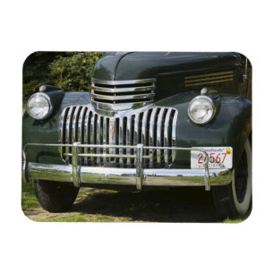 USA, MASSACHUSETTS, Martha's Vineyard: West 5 Magnet