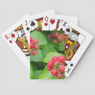 USA, Massachusetts, Nantucket. Mogna hallon Casinokort