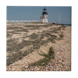 USA, Massachusetts, Nantucket. Skal Kakelplatta