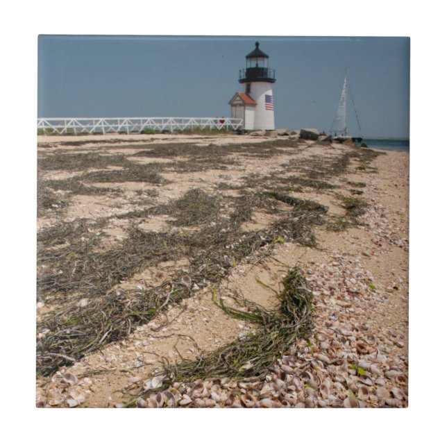 USA, Massachusetts, Nantucket. Skal Kakelplatta (Framsidan)