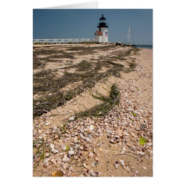 USA, Massachusetts, Nantucket. Snäcka Hälsningskort (Framsidan)