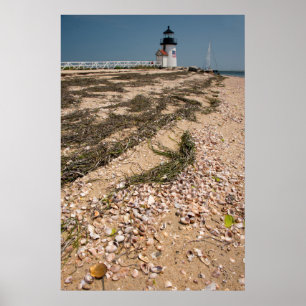 USA, Massachusetts, Nantucket. Snäcka Poster