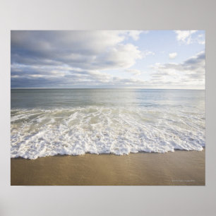 USA Massachusetts, tömmer stranden Poster