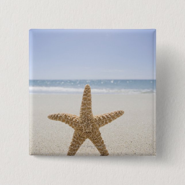 USA Massachusetts, uddtorsk, Nantucket som är nära Knapp (Framsida)