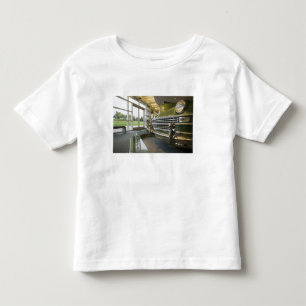 USA, Michigan, Auburn Hills: Walter P. Crysler Tee
