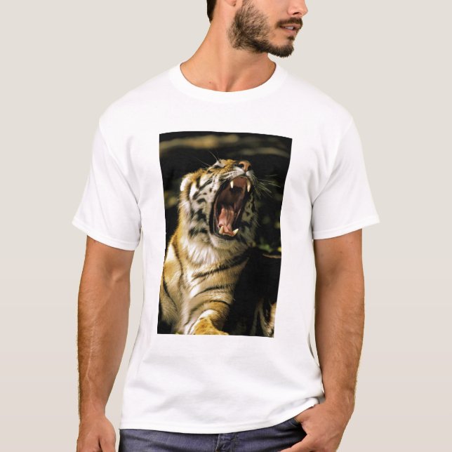 USA, Michigan, Detroit. Detroit Zoo, tiger 2 Tee Shirt (Framsida)